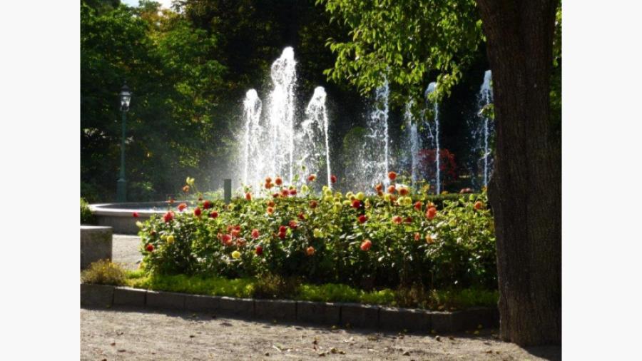 Fontänen med blommor